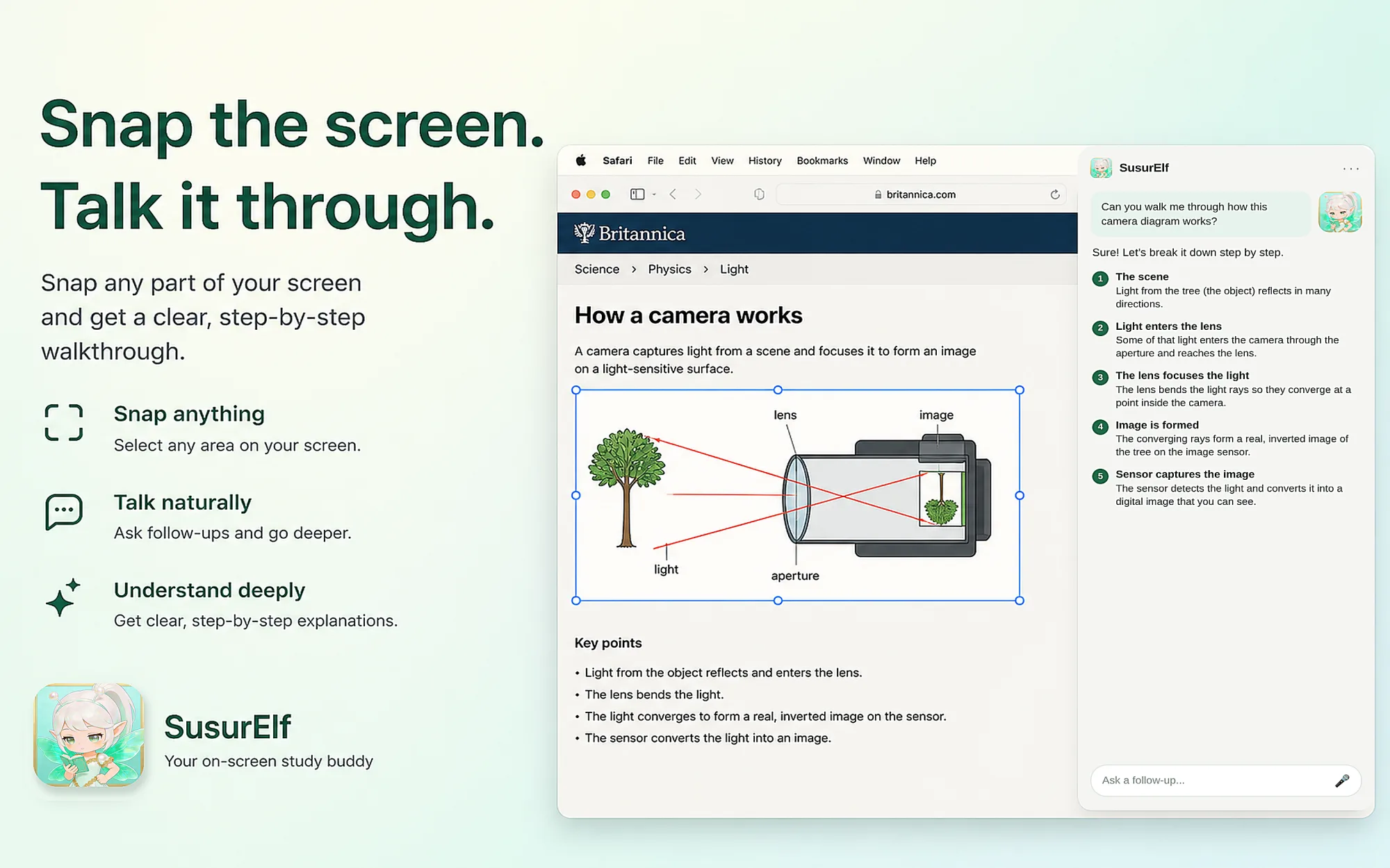SusurElf explaining a camera diagram from a screen capture, step by step